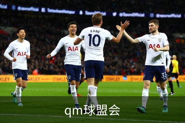 qm球盟会公司简介图片